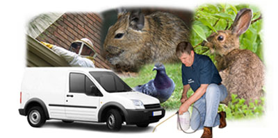 Romiley local van